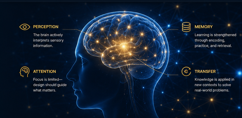 Concept illustration connecting perception, attention, memory, and transfer to instructional design